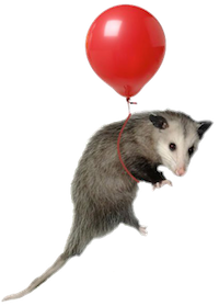 The possum is Eleventy’s mascot